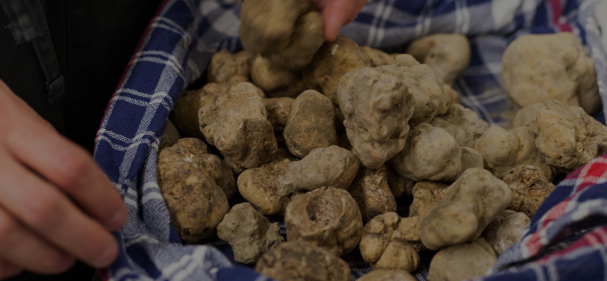 Tartufi Bado, dettaglio del prodotto