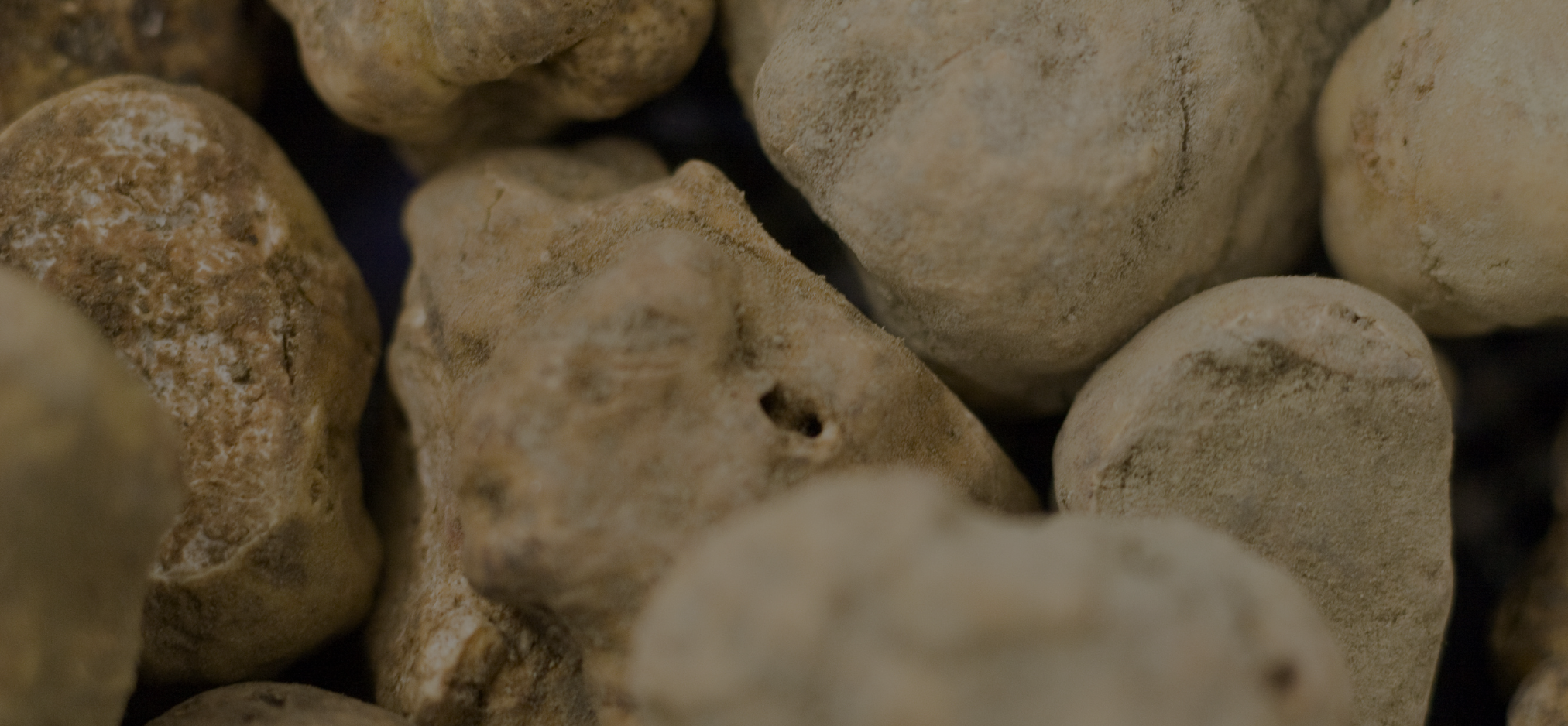 Tartufi Bado, dettaglio del prodotto