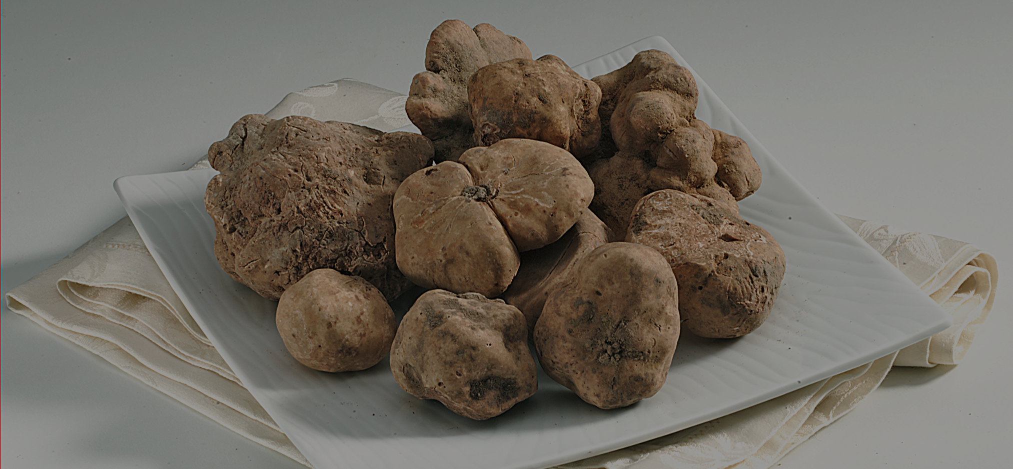 Tartufi Bado, dettaglio del prodotto