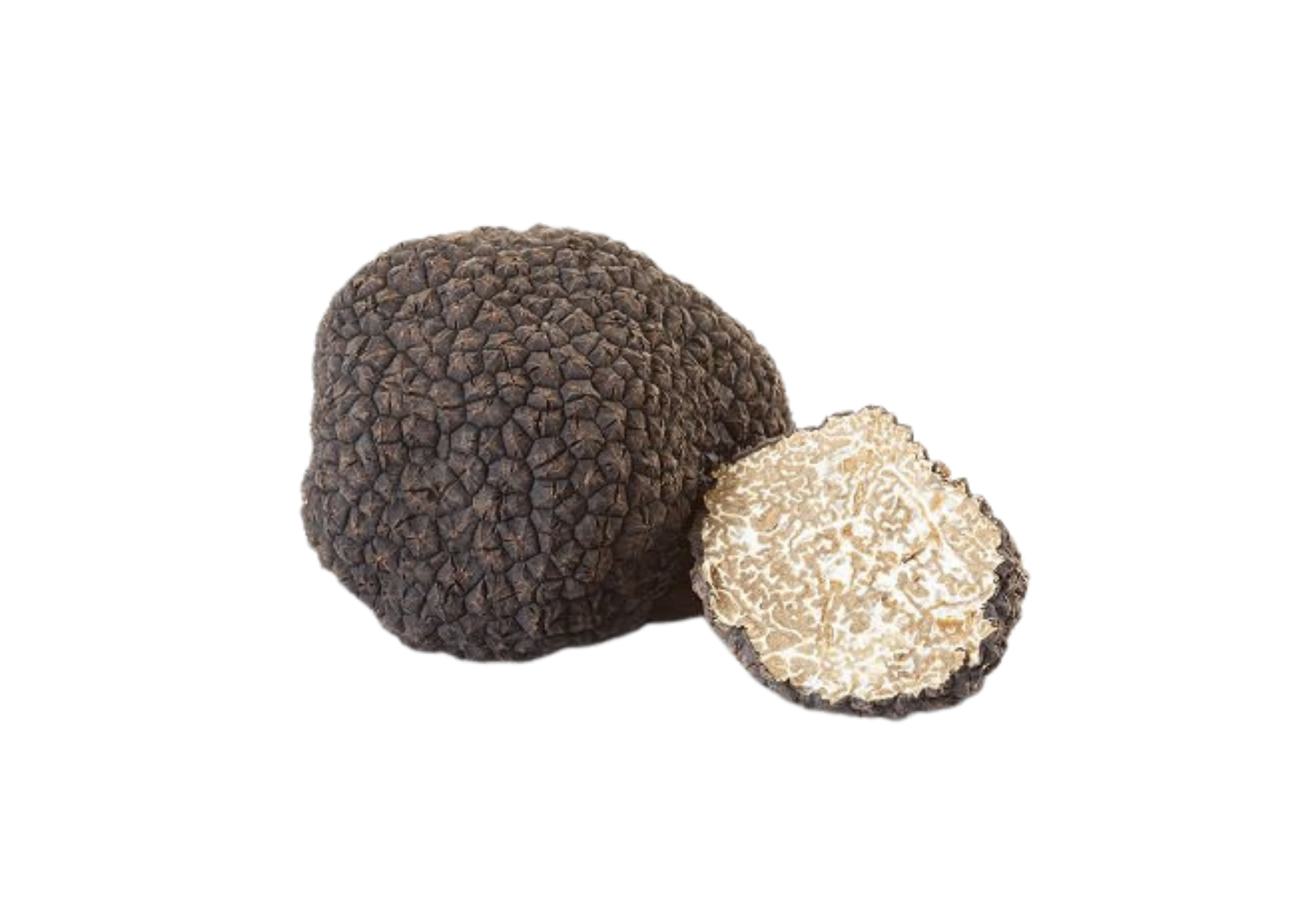 Tartufo nero scorzone Tuber Aestivum estivo su tagliere di legno