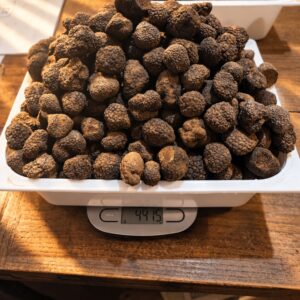 Tartufo Nero Fresco