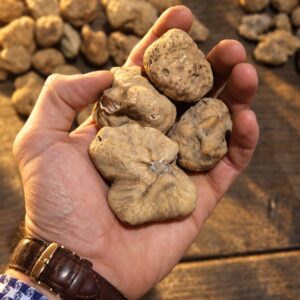Tartufo Bianco Fresco